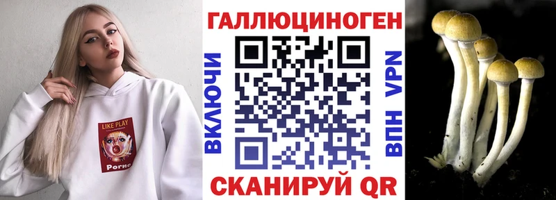 Псилоцибиновые грибы мухоморы  Дальнереченск 